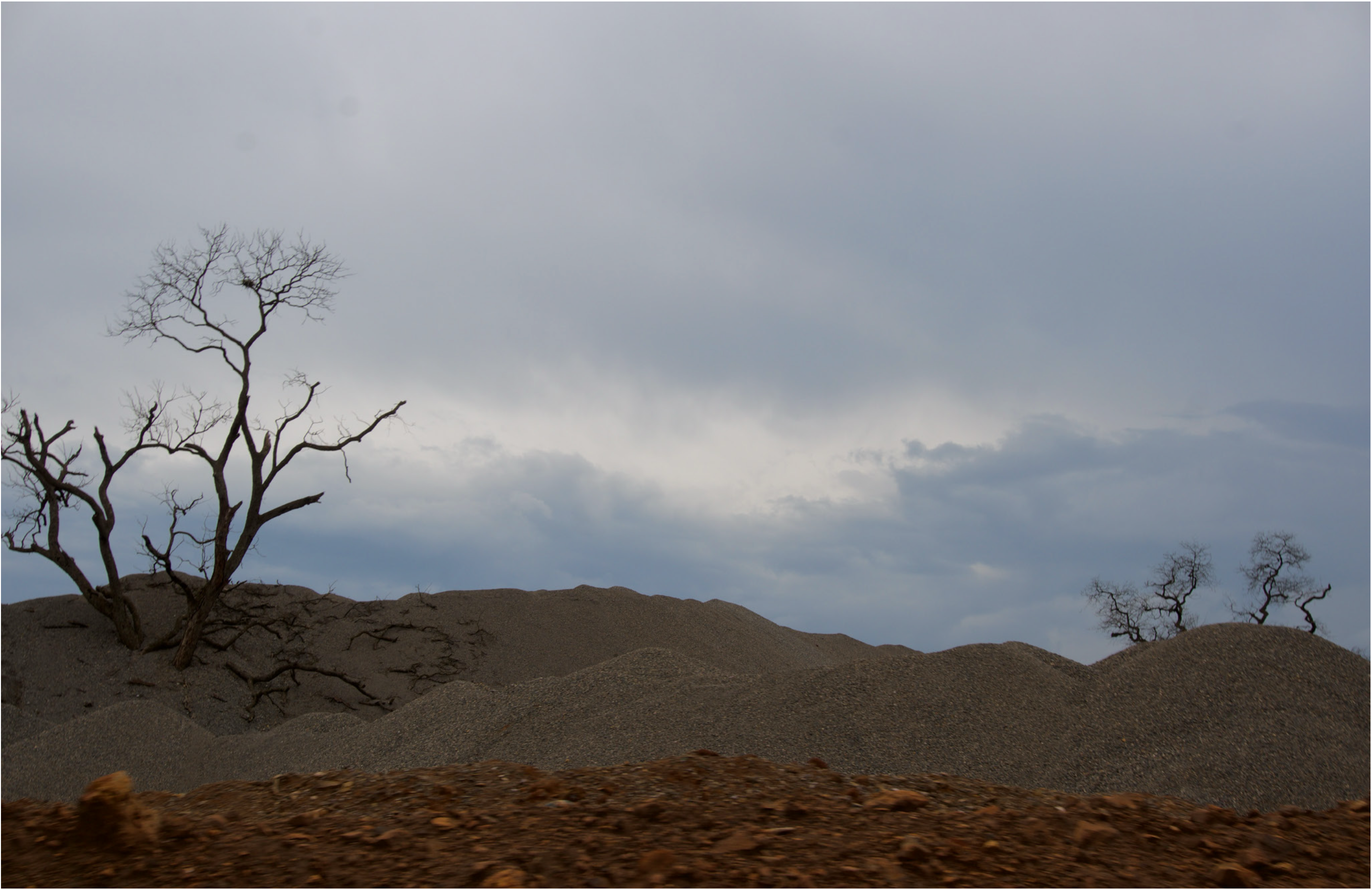 Two bare, dead trees silhouetted against a pale grey sky, rising from acidulated gravel — a byproduct of the copper production process — at Kisanfu Mine.